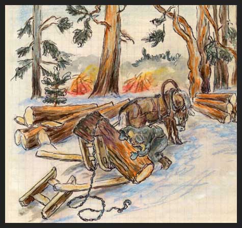 logging